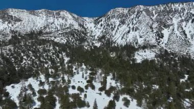 San Gabriel Kaliforniya Dağı 'ndaki Kar Dağları' nın Efsanevi Kış Manzarası Yörüngesi L