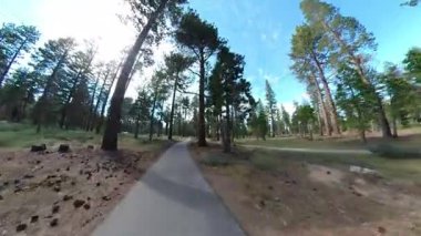 Tahoe Gölü Dağ Bisikleti Orman Yolu Bisiklet Önü Görünümü 01 Kaliforniya ABD