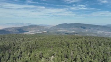 Los Padres Ormanı 'ndaki Pinos Dağı Kaliforniya' da çekildi.