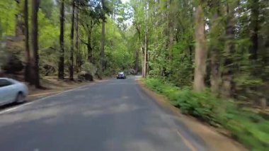 Yosemite Vadisi Arka Manzara 4 Güney sınırı 05 Sentinel Köprüsü Curry Village Sürücü Plakası Kaliforniya ABD Dünya Mirası Bölgesi