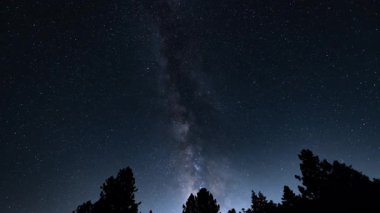 Ağustos Gecesi Samanyolu Galaksisi Meşe Ağaçlarının Üzerinde 15 mm Zaman Hızı Astrofotografı
