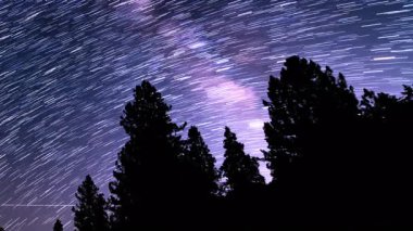 Kaliforniya 'da Çam Ormanının Üzerindeki Evren Yıldızı Gökyüzü Gecesi Astrofotografı: