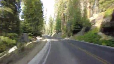 Sequoia Ulusal Parkı Generallerinin Hiperlapse Sürüşü Güney Otobanı 03 Arka Manzara ABD