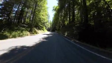 Devler Sokağı, Redwood 5. Gizli Baharlar Kampı 01. Önden Sürücü Plakası Kaliforniya Ultra Geniş Plaka