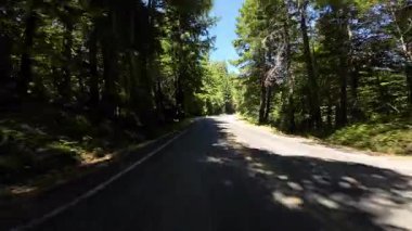 Devler Sokağı, Redwood 5. Gizli Baharlar Kampı 01. Arka Görüş Kaliforniya Ultra Geniş Plakası