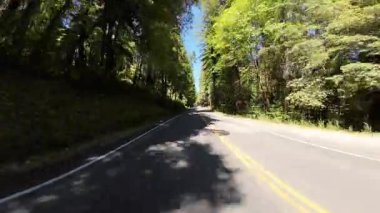 Devlerden Redwood Bulvarı 5. Gizli Baharlar Kampı 02. Arka Görüş Kaliforniya Ultra Geniş Plakası