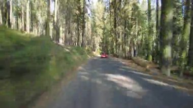 Sequoia Ulusal Parkı 'nın Northbound 02. Arka Görüş ABD