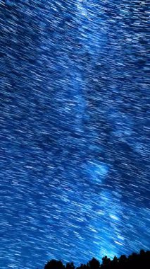 Dikey Çekim Samanyolu Galaksisi Yaz Gecesi Gökyüzü Los Padres Ormanının Üzerinde Kaliforniya 'da Astrofotoğrafçılık Hızı