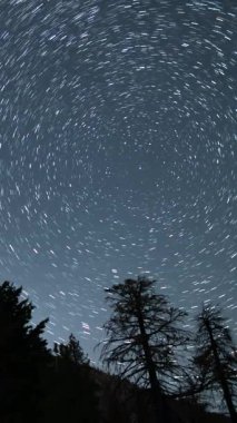 Kuzey Gökyüzü Astrofotografı Gece Gökyüzü Hızlandırması 'ndaki Kuzey Ormanı' nda Kutup Yıldızı 'nın etrafında dönen dikey Yıldız İzleri