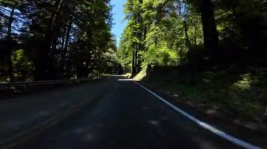 Devler Sokağı Redwood 6 Williams Grove 01 Önden Sürücü Plakası Kaliforniya Ultra Geniş