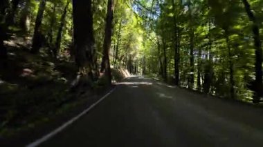 Devler Sokağı Redwood 6 Williams Grove 01 Arka Görüş Kaliforniya Ultra Geniş Plakaları