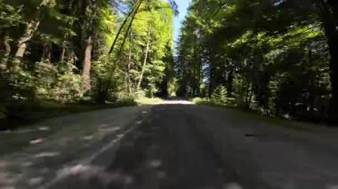 Devler Sokağı Redwood 6 Williams Grove 02 Arka Görüş Kaliforniya Ultra Geniş Plakası