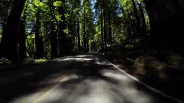 Devler Sokağı Redwood 6 Williams Grove 03 Önden Sürücü Plakası Kaliforniya Ultra Geniş