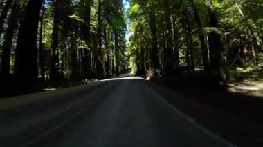 Devler Sokağı Redwood 6 Williams Grove 04 Önden Sürücü Plakası Kaliforniya Ultra Geniş