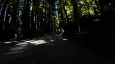 Devler Sokağı Redwood 6 Williams Grove 05 Önden Sürücü Plakası Kaliforniya Ultra Geniş