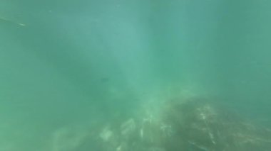 Sualtı Nehri Dibi Yavaş Hareketi x2 60fps 'de çekilmiştir.