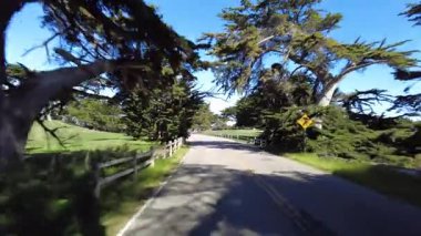 Monterey 17 Mil Yolu 11 Arka Görüş Multicam Sürücü Plakası Kaliforniya ABD