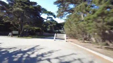 Monterey 17 Mile Drive 12 Front View Multicam Cypress Grove sürücü plakası ABD