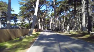 Monterey 17 Mil Yolu 13 Arka Görünüm Çok Kameralı Cypress Grove Sürücü Plakası Kaliforniya ABD