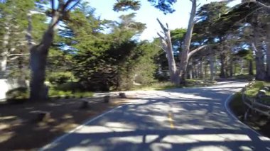 Monterey 17 Mil Yolu 12 Arkaya Bakış Multicam Cypress Grove Sürücü Plakası Kaliforniya ABD