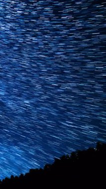 Dikey Samanyolu Galaksisi Yaz Gecesi Gökyüzü Kaliforniya 'da Los Padres Ormanı Astrofotografı Zamanaşımı
