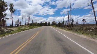 Bryce Kanyonu Sürücü Plaka Sahnesi Dr. S 16 Önden Görünüm Utah Güneybatı ABD