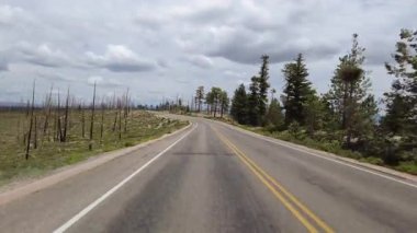 Bryce Kanyonu Sürücü Plakası Sahnesi Dr. S 16 Arka Görünüm Utah Güneybatı ABD