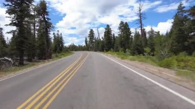 Bryce Kanyonu Sürücü Plaka Sahnesi Dr. S 19 Ön Görüş Arka Görüş Noktası Utah Güneybatı ABD