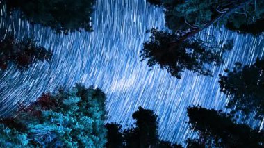 Sequoia Millî Parkı Samanyolu Galaksisi 'nin İzleri Ormanı Astrofotoğrafçılığı Gece Gökyüzü Hızı ABD' de