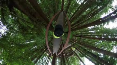 Redwood Ormanı Skywalk Yürüyen POV Küçük Gezegen 02 California ABD