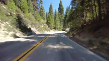Kings Canyon Manzarası Batı Kısmı 20 Doğu Yakası Çoklu Kamera Önü Alp Ormanı Sürücü Plakası Sierra Nevada California Dağı ABD