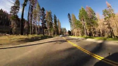 Kuzey Kaliforniya İkiz Köprüleri Otoyol 01 Arka Görünüm 50 Batı ABD Ultra Geniş Plaka