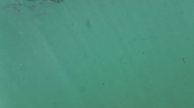 River Underwater Sunlight Background