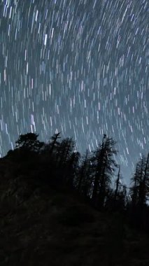Kuzeybatı Gökyüzü 'ndeki Dönen Orman' ın Dikey Yıldız İzleri Astrofotoğrafçılık Hızı