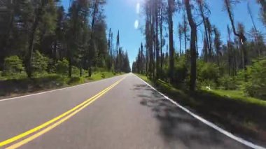 Krater Gölü Otoyolu Doğu Union Creek 'ten Güney Girişi 06 Ön Önden Sürücü Plakası Oregon