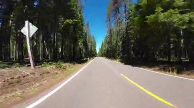 Krater Gölü Otoyolu Doğu Union Creek 'ten Güney Girişi 06 Arka Manzara Sürücü Plakası Oregon