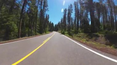 Krater Gölü Otoyolu Doğu Union Creek 'ten Güney Girişi 07 Ön Manzara Sürücü Plakası Oregon