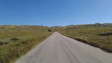 Carrizo Ovası Ulusal Anıt 7 Mil Yolu S 04 Arka Manzara Sürücü Tabakları Kaliforniya 'da Vahşi Çiçek Süper Çiçeği