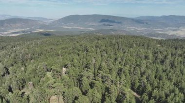 Los Padres Ormanı 'ndaki Pinos Dağı. California ABD.