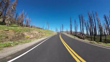 Lassen Volkanik Sülfür Fabrikası 01. Arka Görünüm Volkanik Miras Aracı Bythbound Güney Yolu Sürücü Plakaları