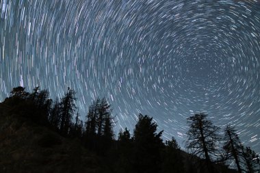 Kutup yıldızının etrafında dönen yıldız izleri. Ormanın üzerinde 24 mm Kuzeybatı Gökyüzü Astrofotografı.