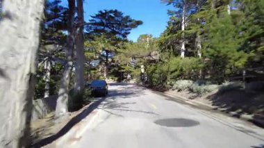 Monterey 17 Mil Yolu 16 Arkaya Bakış Multicam Tek Cypress Sürücü Plakası Kaliforniya ABD