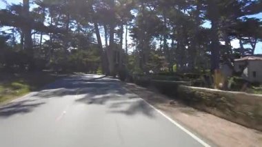 Monterey 17 Mile Drive 18 Front View Multicam sürücü plakası Kaliforniya ABD