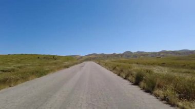 Carrizo Ovası Ulusal Anıt 7 Mil Yolu Kuzey 01 Ön Manzara Vahşi Çiçek Süper Çiçek Kaliforniya