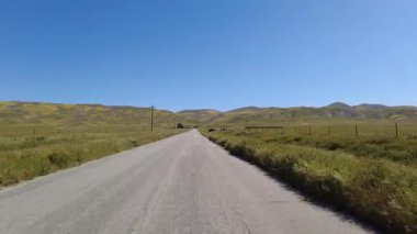 Carrizo Ovası Ulusal Anıt 7 Mil Yolu Kuzey 02 Ön Manzara Sürücü Plakaları Vahşi Çiçek Süper Çiçek Kaliforniya