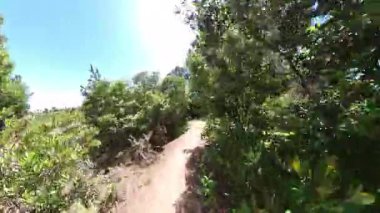 Kenneth Hahn Park Dağ Bisiklet Ormanı POV Ön Manzarası 03 Kaliforniya ABD