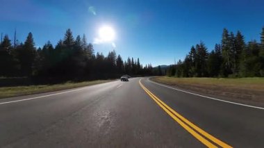 Kuzey Kaliforniya Arka Görünümü _ Orman Arka Görünümü 01 36 Doğu yönünde ABD Ultra Geniş Plaka