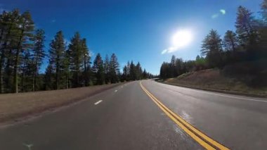 Kuzey Kaliforniya Arka Görünümü _ Orman Arka Görünümü 02 Doğu yönünde ABD Ultra Geniş Plaka