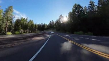 Kuzey Kaliforniya Arka Görünümü _ Orman Arka Görünümü 03 36 Doğu yönünde ABD Ultra Geniş Plaka