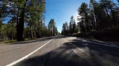 Kuzey Kaliforniya Arka Görünümü _ Orman Arka Görünümü 04 Doğu yönünde ABD Ultra Geniş Plaka Sürücüsü